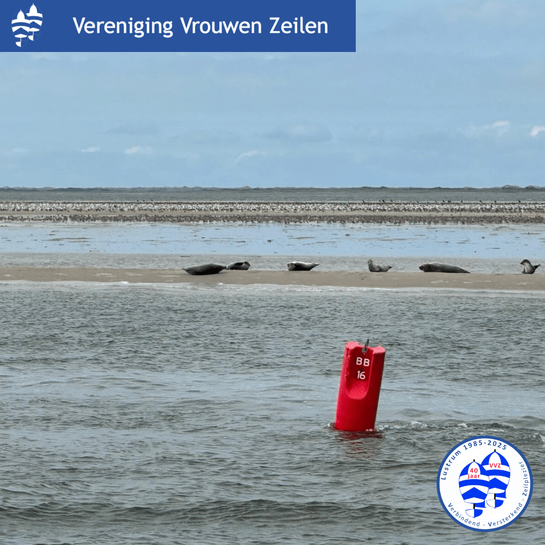 09-2025 Wadden-oost