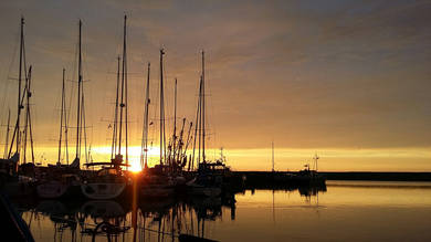 VVZ 20160330   website02